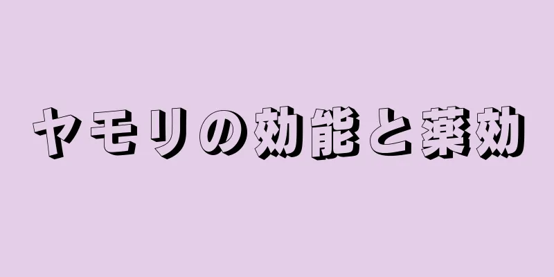 ヤモリの効能と薬効