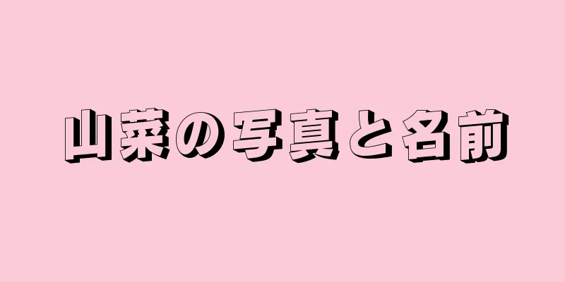 山菜の写真と名前