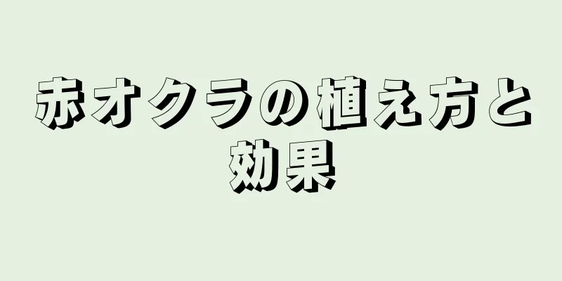 赤オクラの植え方と効果