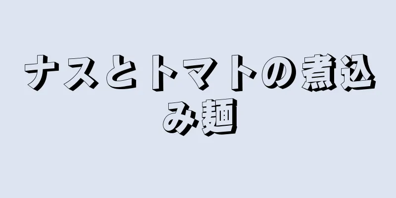 ナスとトマトの煮込み麺
