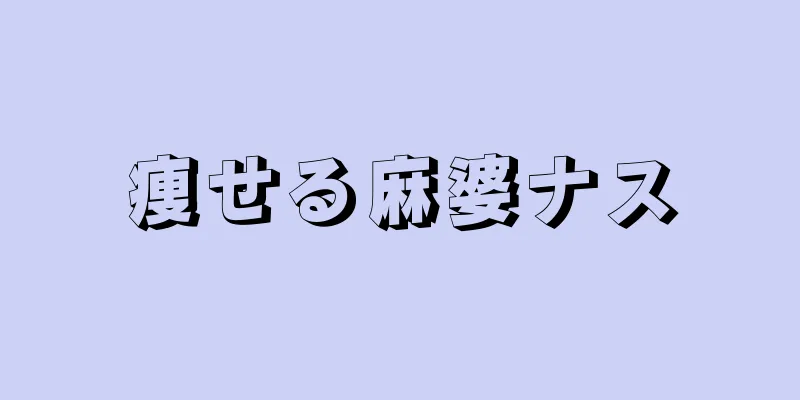 痩せる麻婆ナス