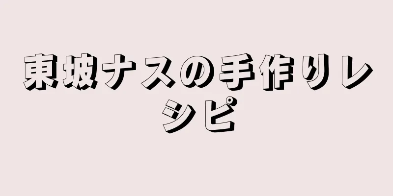 東坡ナスの手作りレシピ
