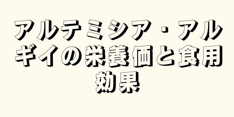 アルテミシア・アルギイの栄養価と食用効果