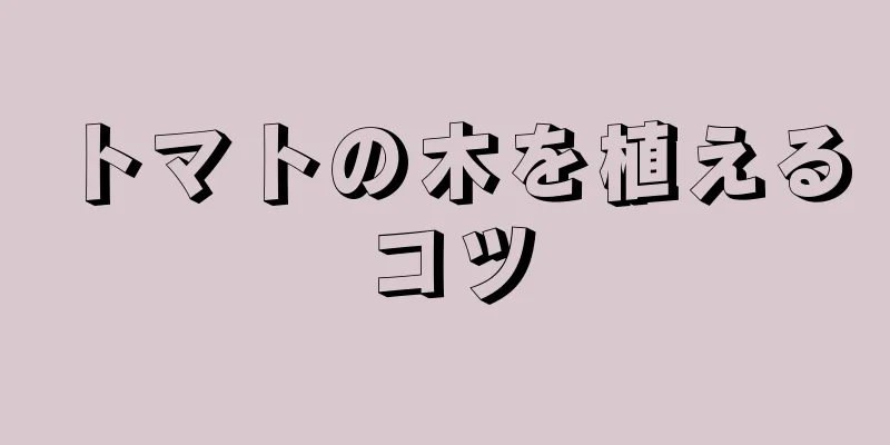 トマトの木を植えるコツ