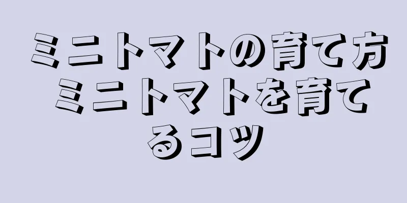 ミニトマトの育て方 ミニトマトを育てるコツ