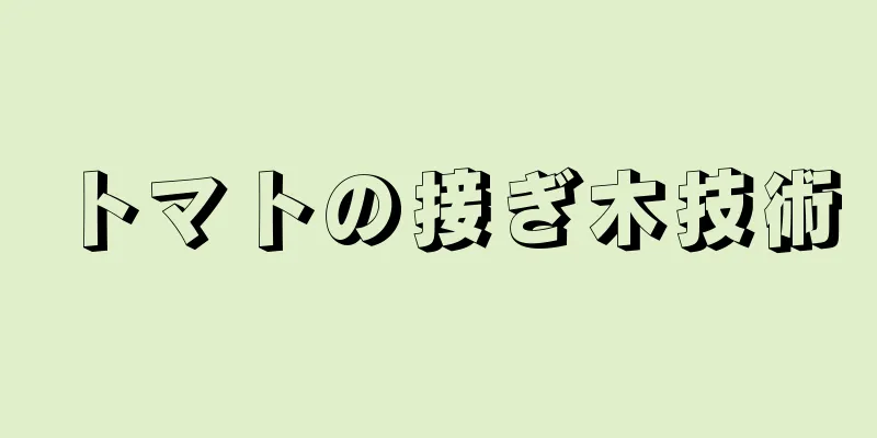 トマトの接ぎ木技術