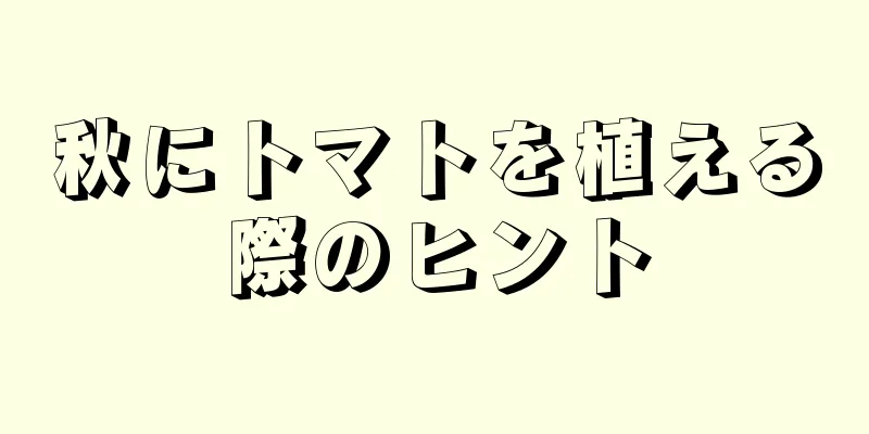 秋にトマトを植える際のヒント