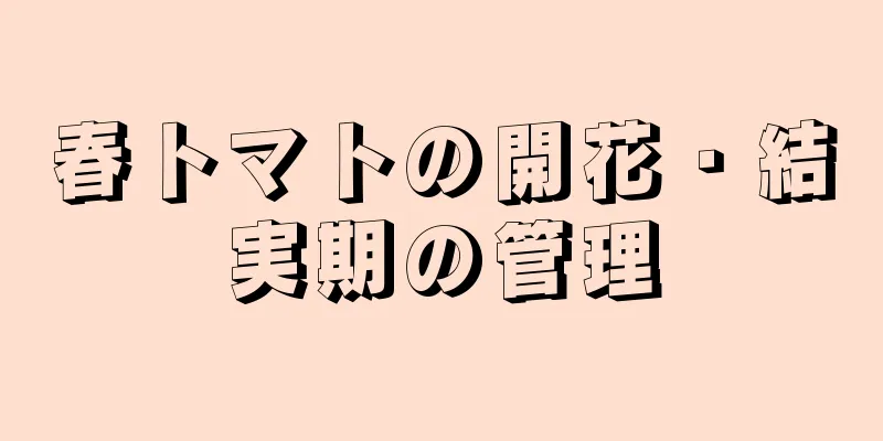 春トマトの開花・結実期の管理