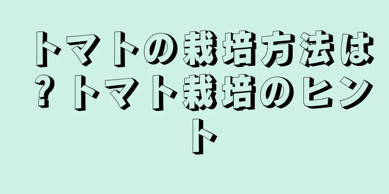 トマトの栽培方法は？トマト栽培のヒント