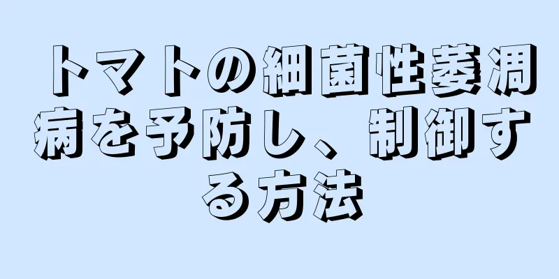 トマトの細菌性萎凋病を予防し、制御する方法