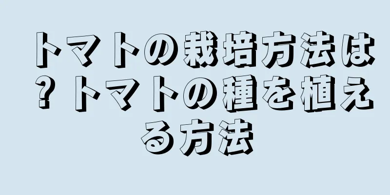 トマトの栽培方法は？トマトの種を植える方法