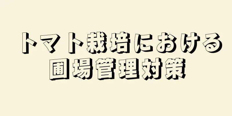 トマト栽培における圃場管理対策