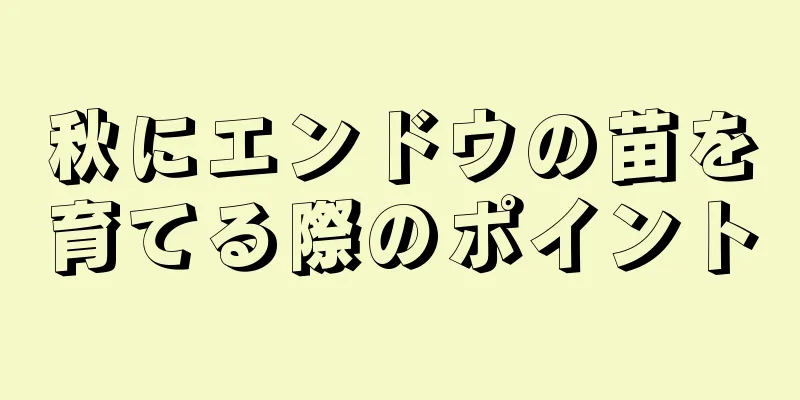 秋にエンドウの苗を育てる際のポイント