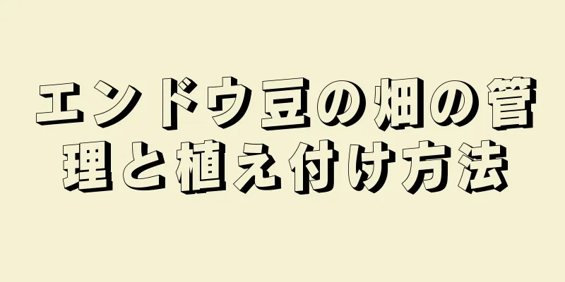 エンドウ豆の畑の管理と植え付け方法