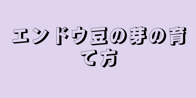 エンドウ豆の芽の育て方