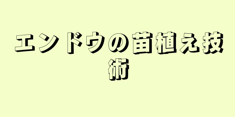 エンドウの苗植え技術