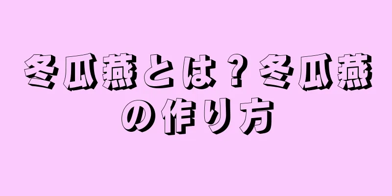 冬瓜燕とは？冬瓜燕の作り方
