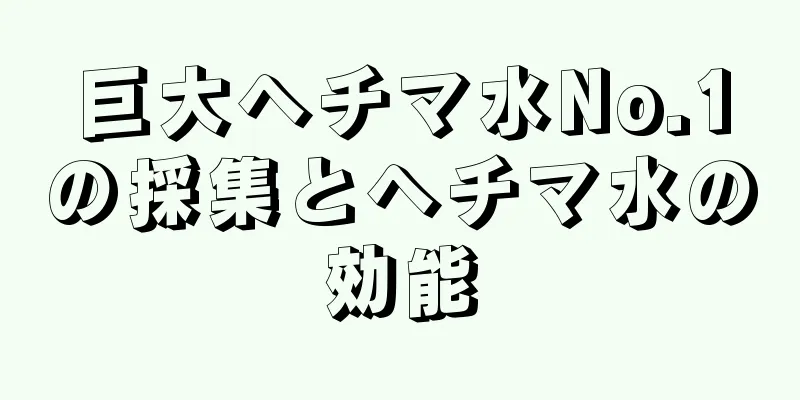 巨大ヘチマ水No.1の採集とヘチマ水の効能