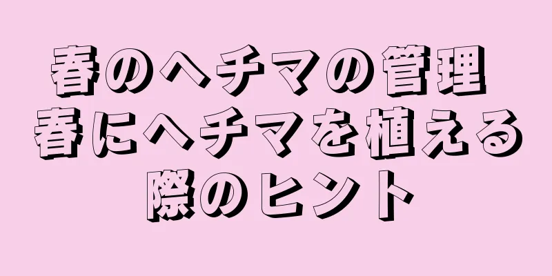 春のヘチマの管理 春にヘチマを植える際のヒント