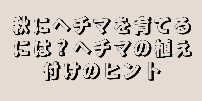秋にヘチマを育てるには？ヘチマの植え付けのヒント