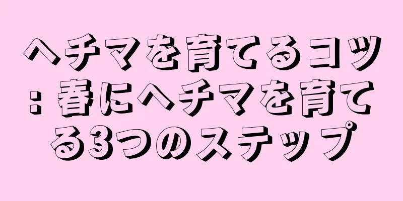 ヘチマを育てるコツ: 春にヘチマを育てる3つのステップ