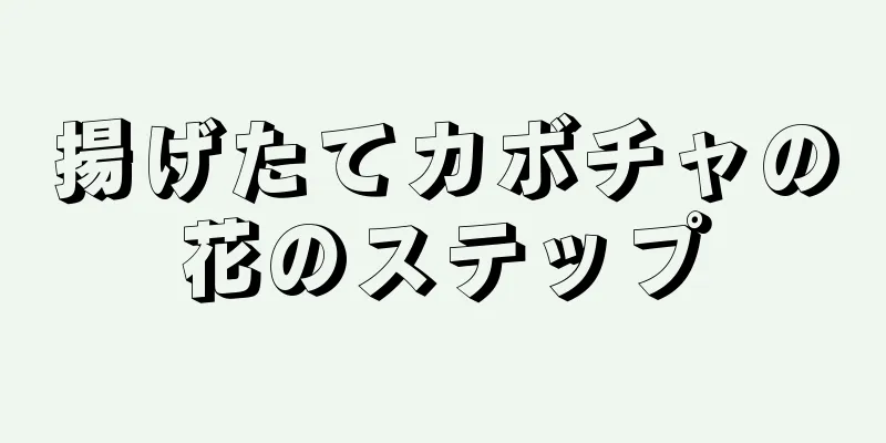 揚げたてカボチャの花のステップ