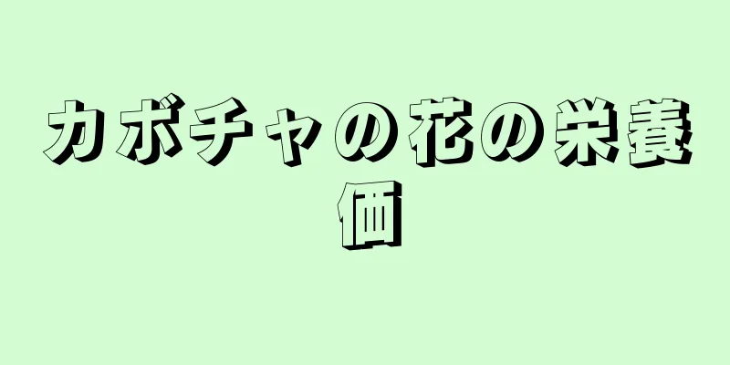 カボチャの花の栄養価