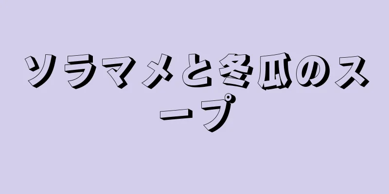 ソラマメと冬瓜のスープ