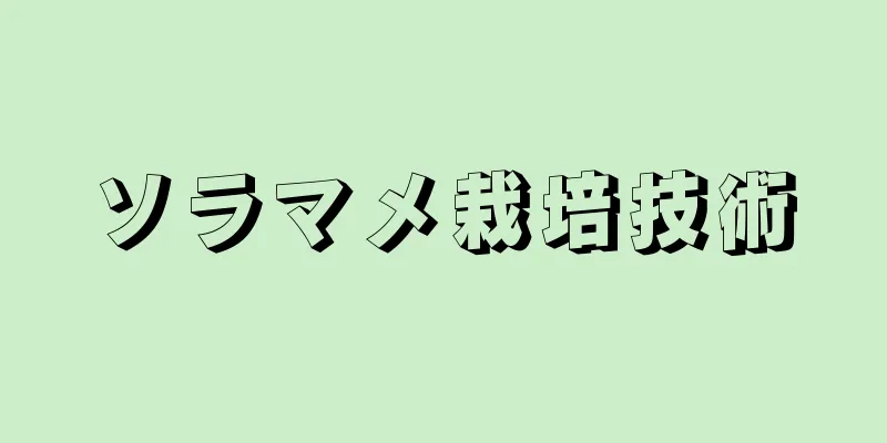 ソラマメ栽培技術