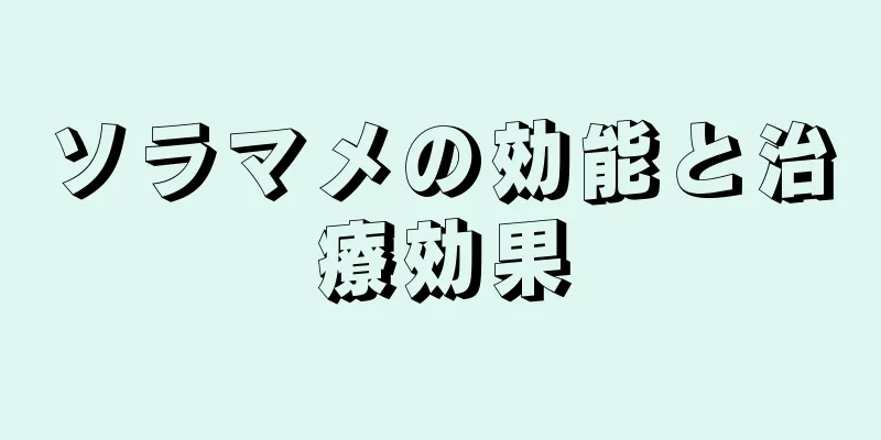 ソラマメの効能と治療効果