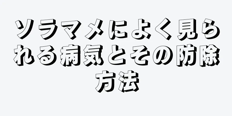 ソラマメによく見られる病気とその防除方法