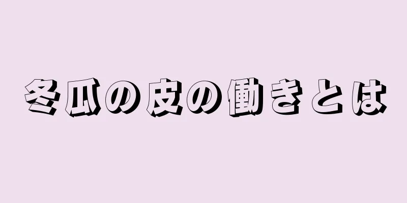 冬瓜の皮の働きとは