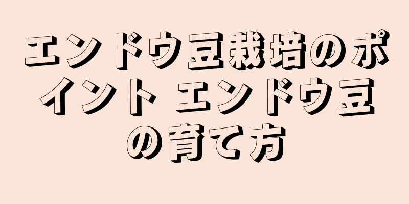 エンドウ豆栽培のポイント エンドウ豆の育て方