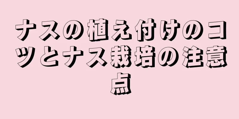ナスの植え付けのコツとナス栽培の注意点