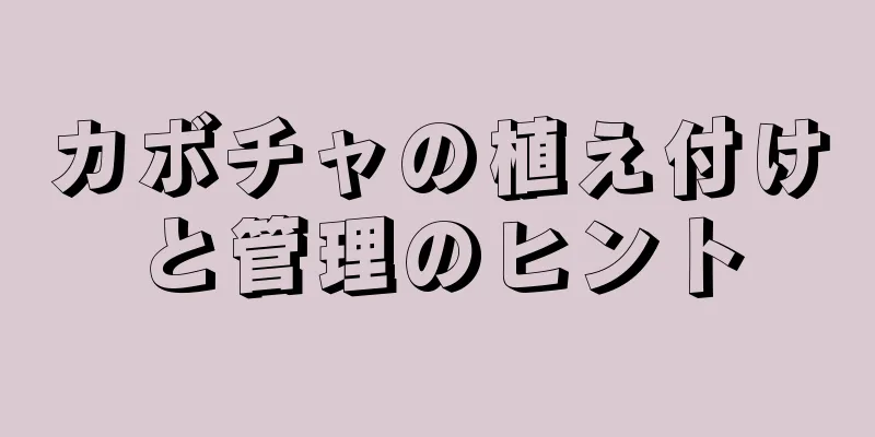 カボチャの植え付けと管理のヒント