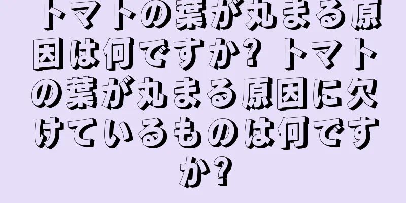 トマトの葉が丸まる原因は何ですか? トマトの葉が丸まる原因に欠けているものは何ですか?