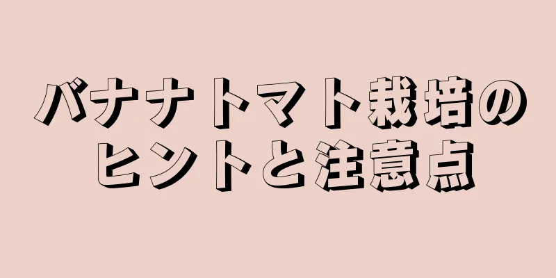 バナナトマト栽培のヒントと注意点