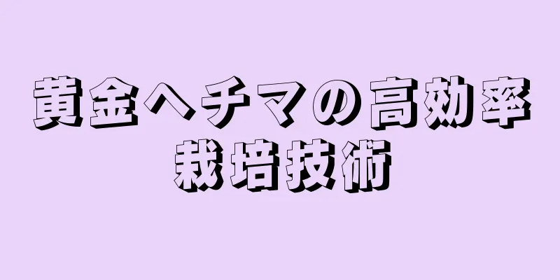 黄金ヘチマの高効率栽培技術