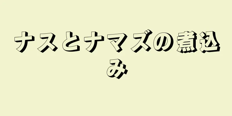 ナスとナマズの煮込み