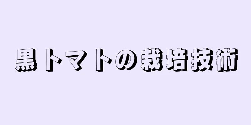 黒トマトの栽培技術