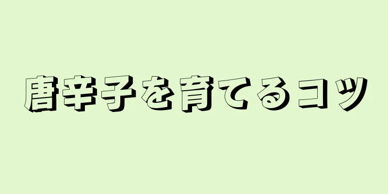 唐辛子を育てるコツ