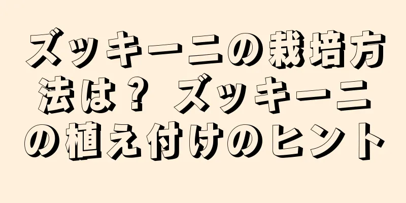 ズッキーニの栽培方法は？ ズッキーニの植え付けのヒント