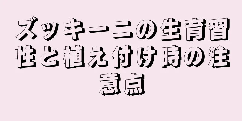ズッキーニの生育習性と植え付け時の注意点