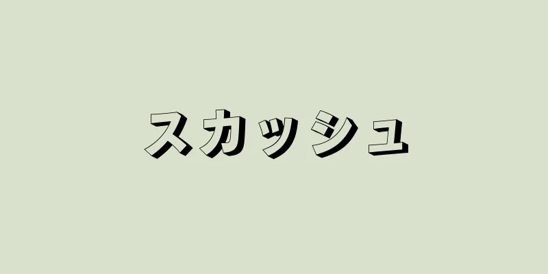 スカッシュ
