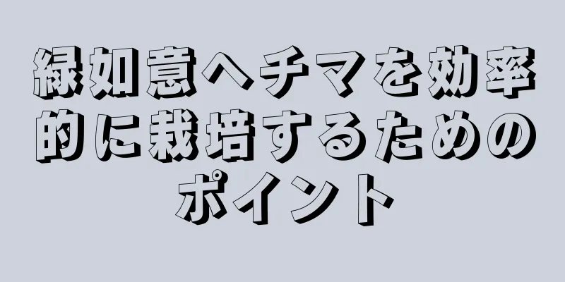 緑如意ヘチマを効率的に栽培するためのポイント