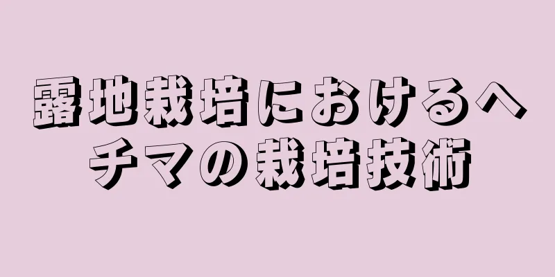 露地栽培におけるヘチマの栽培技術