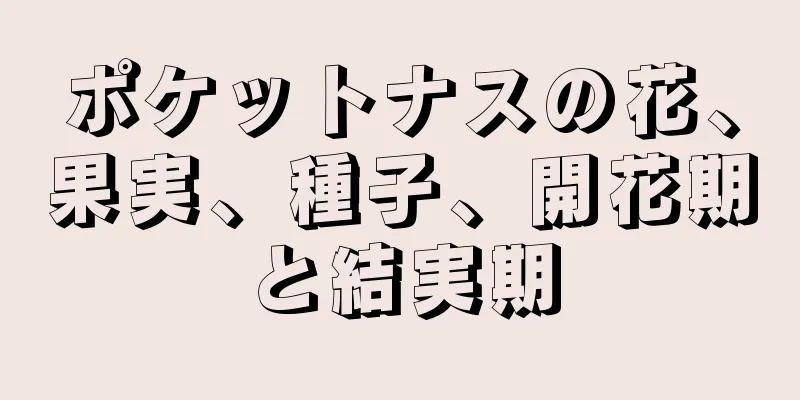 ポケットナスの花、果実、種子、開花期と結実期