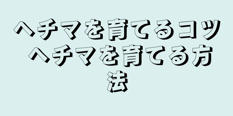 ヘチマを育てるコツ ヘチマを育てる方法