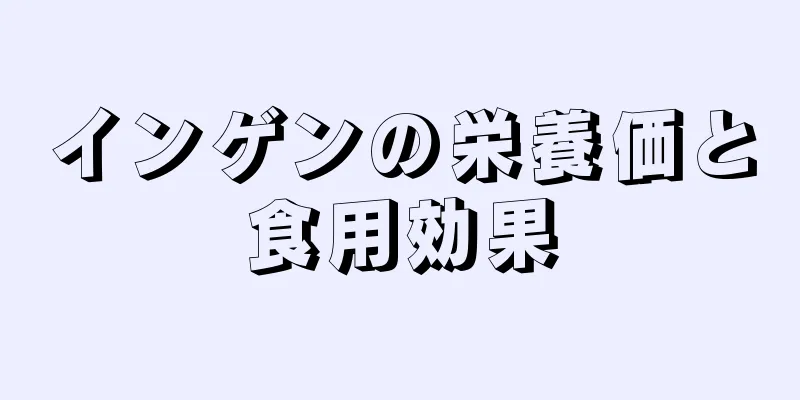 インゲンの栄養価と食用効果