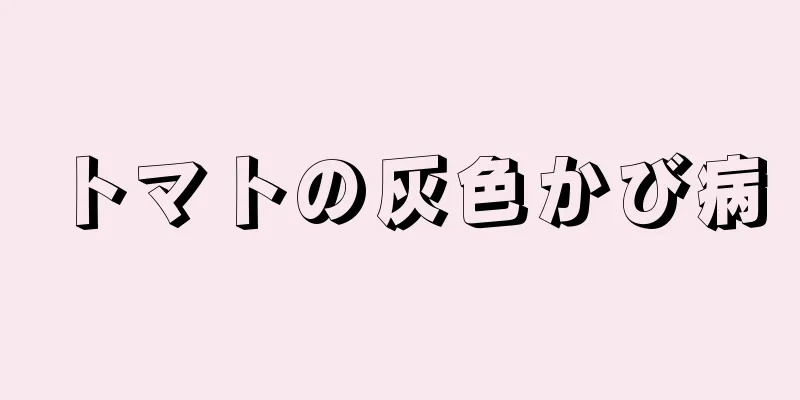 トマトの灰色かび病